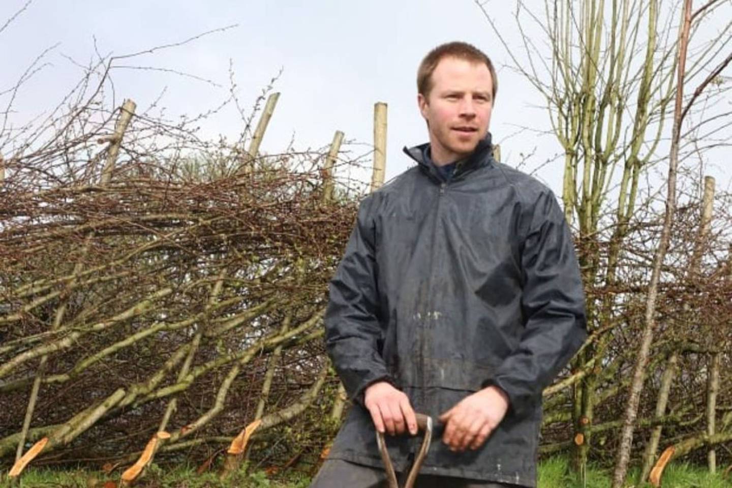 Farmers divided on impact of Nature Restoration Law – The Irish Times