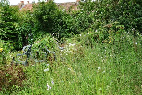 ‘I’ve found a derelict garden in an estate. How do I go about buying it?’
