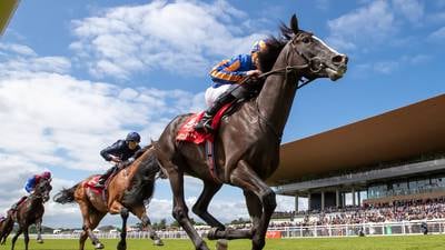World Pool impact set to result in nine-race programme at the Curragh on Irish Derby day 