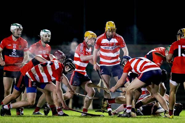 Call for Fitzgibbon Cup hurlers to be exclusively available to colleges