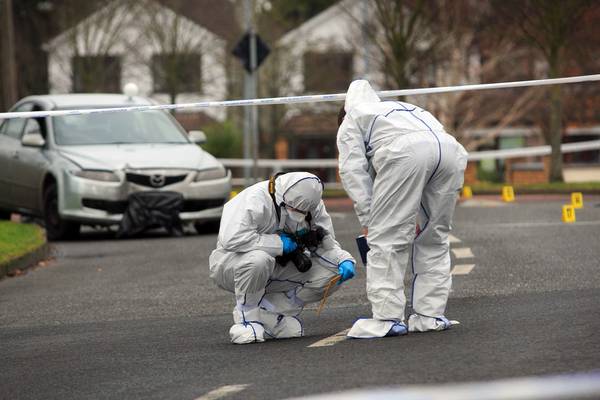 Gardaí identify suspects in Lucan murder