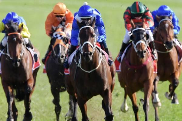 Mighty mare Winx makes it 27 wins on the spin