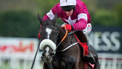 Don Cossack heads weights for Hennessy Gold Cup