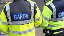 Gardaí arrest 18 on ‘day of action’ against criminals in Carlow-Kilkenny