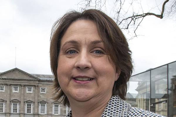 Lobby groups should be invited to abortion committee - FF member
