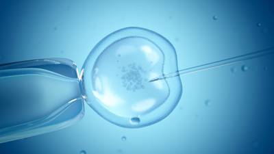 Fertility treatment and coronavirus: ‘The Covid-19 baby boom jokes are hard to take’