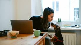 Want to work from home? Here are the rules governing your employer’s reaction