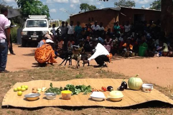 An Irishman’s Diary:  How an Irish aid project is encouraging green fingers in Zambia