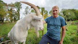 ‘Animals feel pain’: why a farmer’s son turned vegan