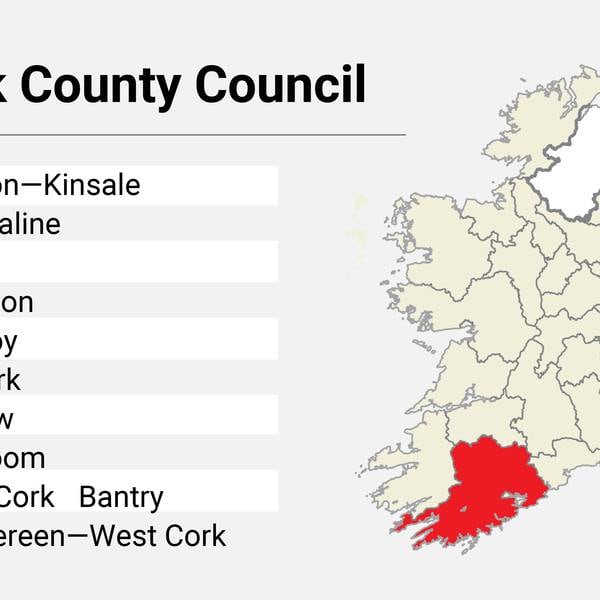 Local Elections: Cork County Council candidate list
