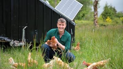 How farmers are embracing environment restoration: ‘I kind of live for the corncrake’