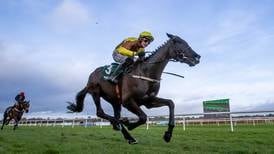 Cheltenham vox pop: ‘If he reproduces his Christmas performance at Leopardstown, he’ll lap them!’