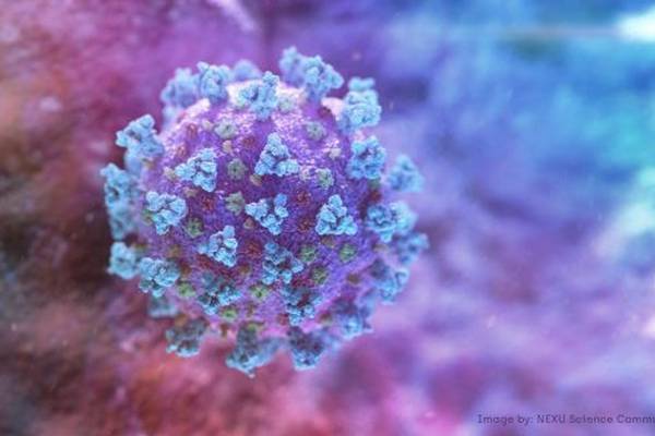 Coronavirus: Herd immunity may take multiple waves of infection – study