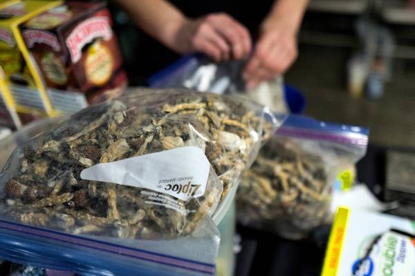 Denver votes to decriminalise ‘magic mushrooms’ by narrow margin