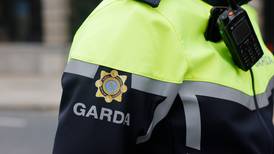 Gardaí investigating link between criminals and far-right groups