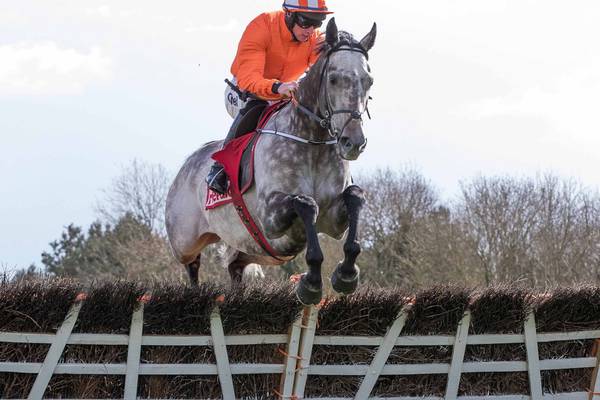 Labaik’s career in doubt after suffering Punchestown injury