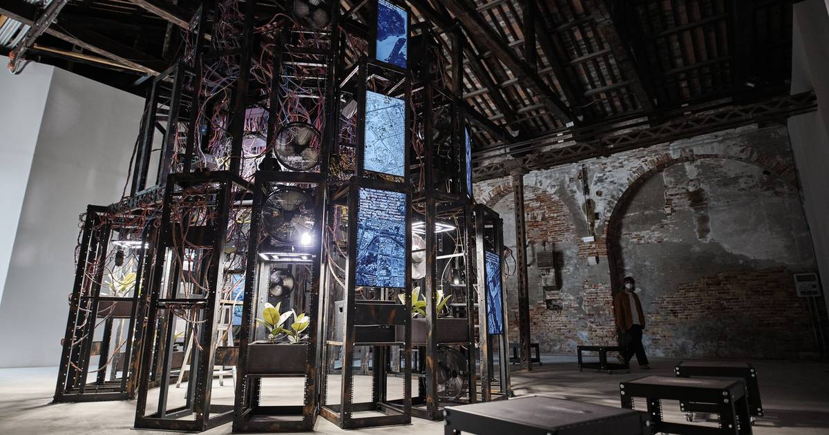 Venice Architecture Biennale’s Irish Pavilion explores our role in the