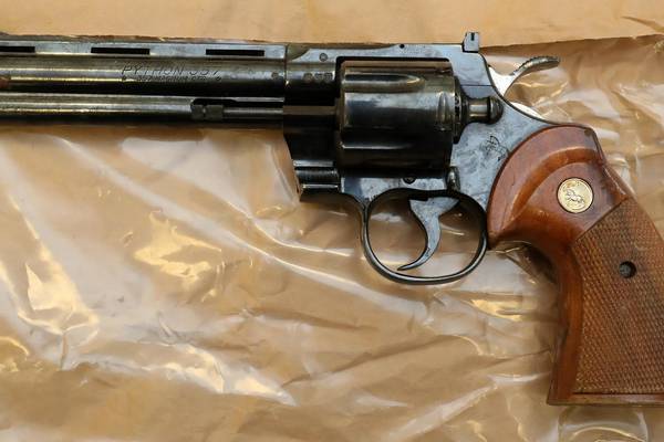 Three released after monkey, drugs, guns and ammunition seized in Dublin