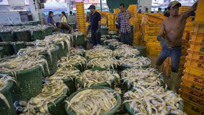 EU issues ‘yellow card’ for Thailand over pirate fishing