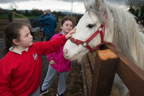 Dublin council seeks to mend fences with opening of equine centre