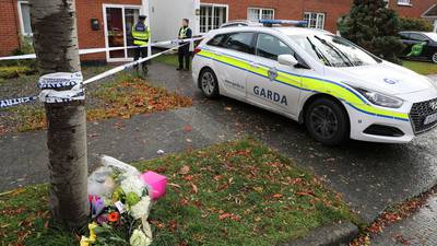 Gardaí review video calls as part of inquiry into deaths of mother and children