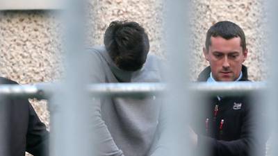 Man (35) who murdered mother in Co Louth jailed for life