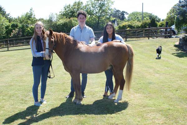 NI students saddle up with US support for equestrian products