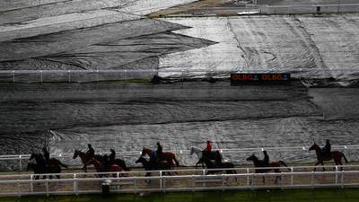 Punters’ focus split between Cheltenham and the Vatican. What are the odds?