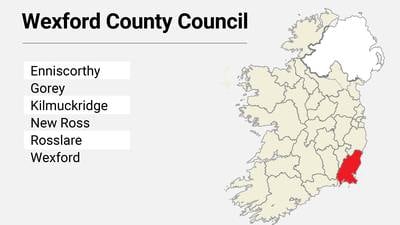 Local Elections: Wexford County Council results