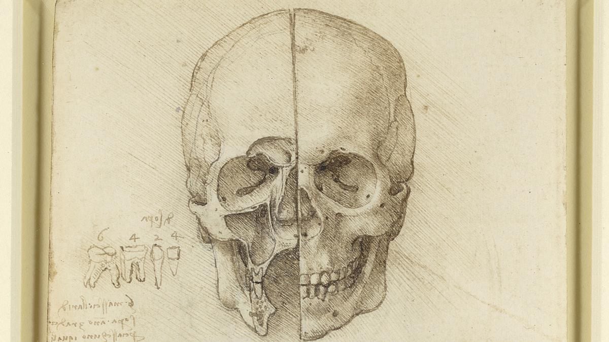 Lesson #24: The Skull, Happy Halloween! This drawing was a …