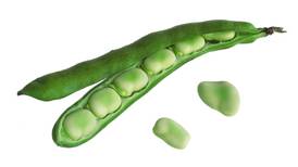 What peas and broad beans tell us about the reality of Ireland’s seasons