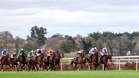 Standoff over plan for 2,000 homes at Leopardstown as horse racing body looks to hotel and sprint track 