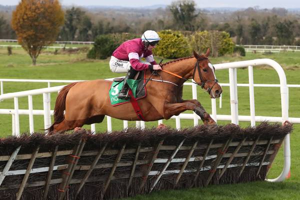 Samcro is 40-1 for Cheltenham Gold Cup – in 2020