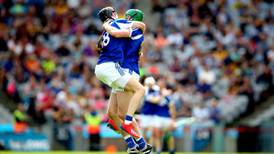 Motion on Leinster hurling expansion has biggest potential