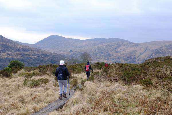 Call for Killarney National Park to lose ‘biosphere’ status