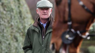 It’s For Me tops another strong Cheltenham Bumper entry for Willie Mullins 