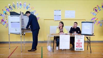 Election monitors recommend expanding Irish voting rights