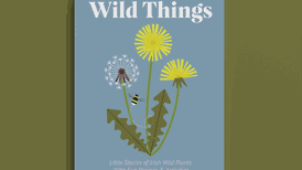 Childhood friends aim to put the wild things back in our hearts