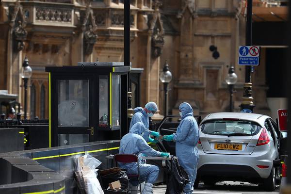 Westminster car crash treated as terror attack, say police