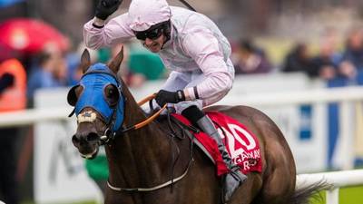 Galway Races: Swamp Fox on track to join exclusive company
