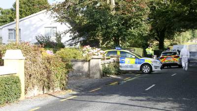 Two men to appear in court in relation to Limerick burglary