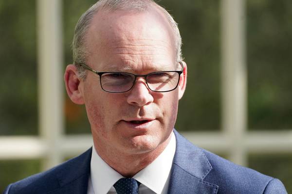 Proposed neutrality Bill would likely curtail Irish efforts on international peace, Coveney says