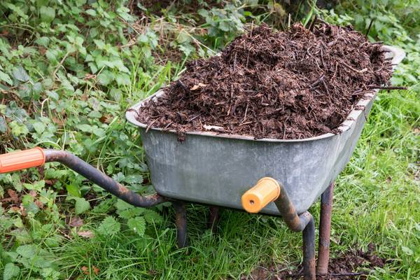 Top tips for making the ultimate compost