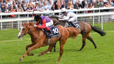 Recorder could give a royal nod to the Curragh