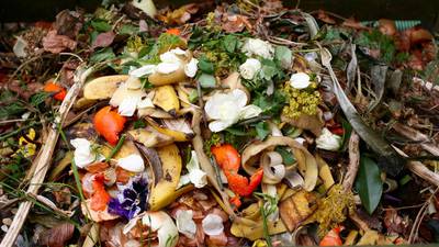 Tackling food waste in Ireland has potential for climate dividend