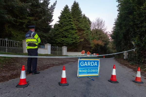Man arrested after 60-year-old shot dead at Cork farmhouse