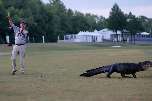 Zurich Classic battered by rain as half the field fails to start