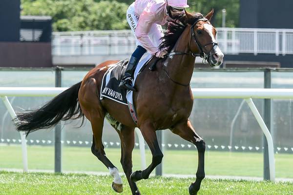 Derby hero Anthony Van Dyck suffers fatal injury in Melbourne Cup