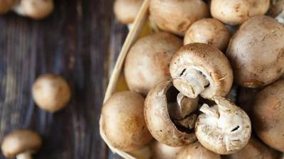 Court to reconsider price for DIG share in mushroom firm