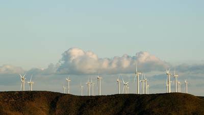 Mayo  community expresses dismay at wind farm ruling